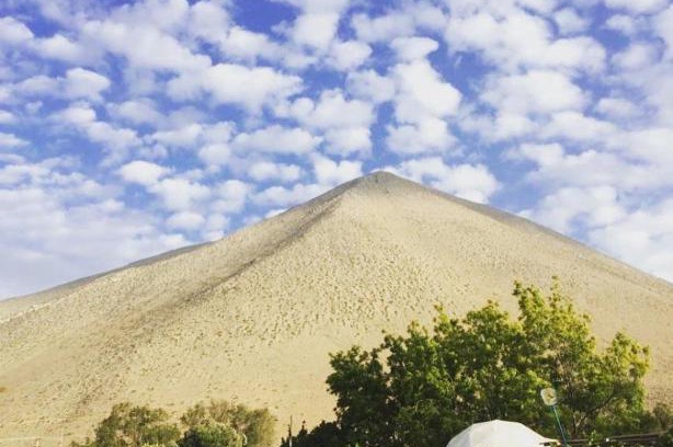 Vicuna Otro | Glamping Viñas de Elqui