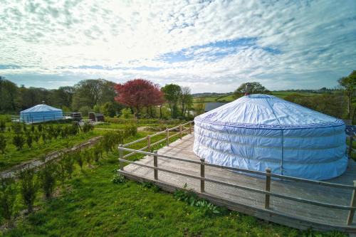 Newquay Otro | Glamping Yurts near Newquay