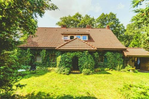 gmina Rojewo Casa | Glinki - Leśna oaza z kominkiem 20 min od Torunia