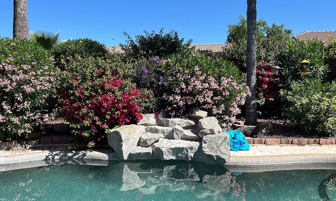 Gold Canyon Casa | Gold Canyon AZ Desert Paradise, Heated Private Pool/Spa, Mt Views, Golf/Hiking