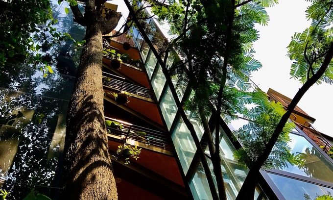 Craig Park Layout Hotel | Golden Lotus