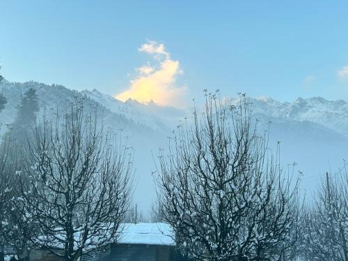 Kullu Casa | Golden Luck MANN CAFE