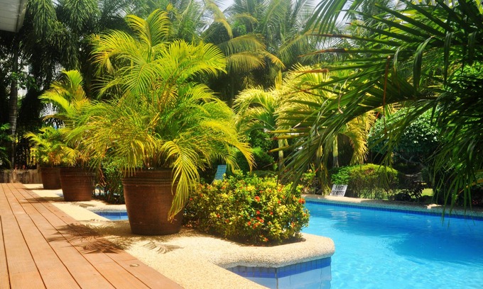 Danao Complejo | Golden Palm Resort