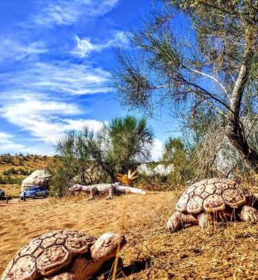 Navoiy Province Otro | GOLDEN Safari YURT CAMP