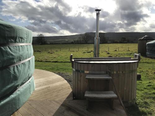 Hawes Casa | Goldfinch