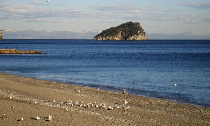 Torre del Mare Apartamento | Golfo dell'Isola - Appartamento fronte mare