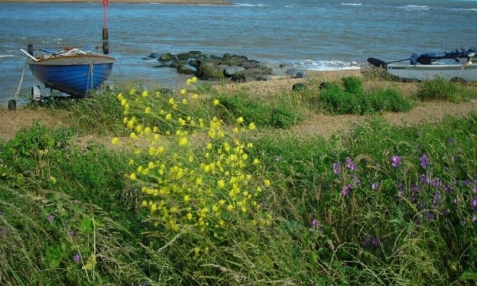 Martlesham Heath Casa | Golfview cottage bungalow FELIXSTOWE FERRY Suffolk Coast - Close to beach,
