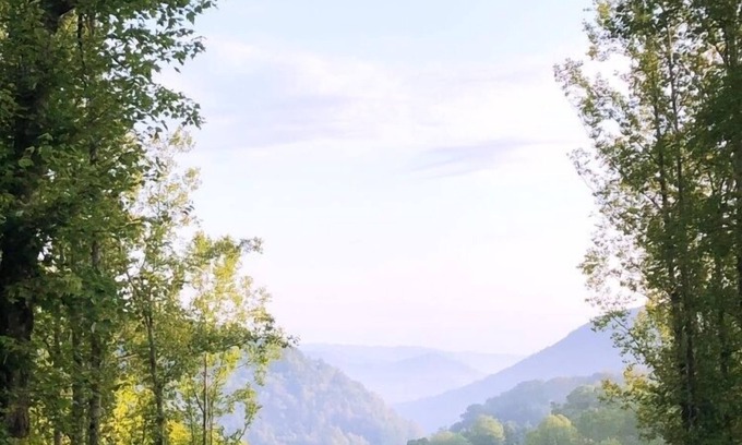 Roan Mountain Casa | Hermosa vista a la montaña a 8 millas del sendero de los Apalaches