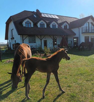 gmina Rossosz Apartamento | Gospodarstwo Agroturystyczne Bogdanówka