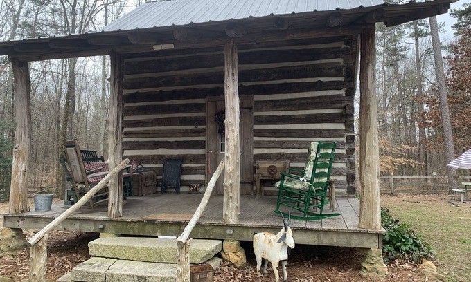 Greensboro Cabina | Got Cabin Fever? - The Pretty Petunia