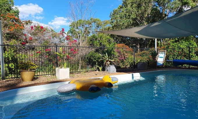 Singleton Shire Council Casa | Gowrie Agapanthus