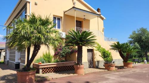 Arena Apartamento | Grand appartement Vescovato entre mer et montagne