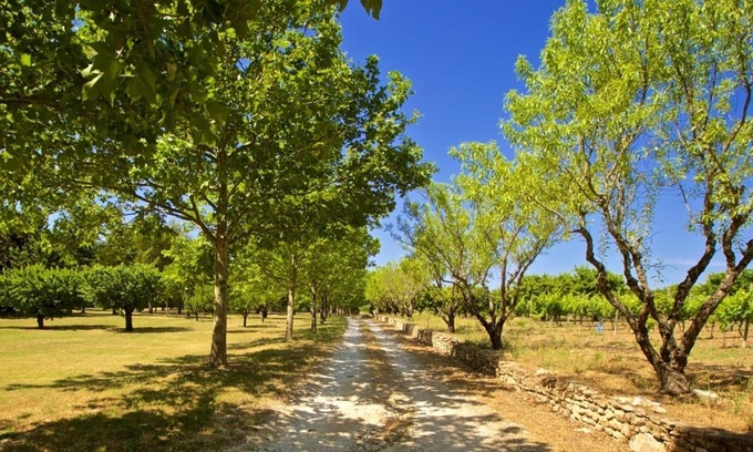 Joucas Casa | GRAND LUBERON A LARGE LUXURY VILLA IN THE BEAUTIFUL HILLTOP VILLAGE OF GORDES