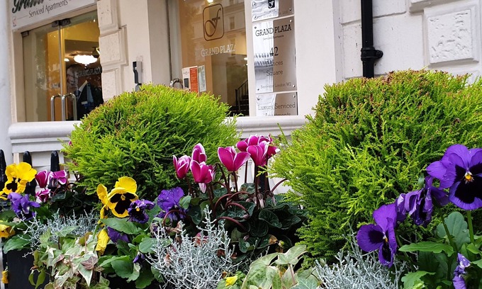 Lancaster Gate Apartamento | Grand Plaza Serviced Apartments