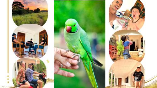 Anuradhapura Casa | Grand Refuge wilpathu safari Home made foods Bikes Bicycles Tuk tuk Bird view Lake jogging