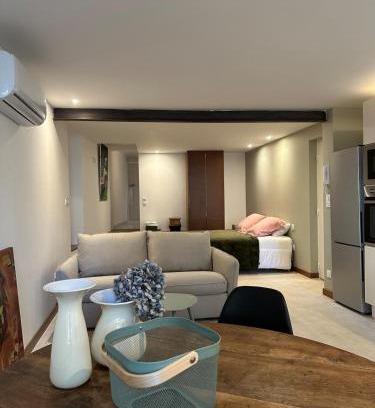 Millau Apartamento | Grand studio refait à neuf