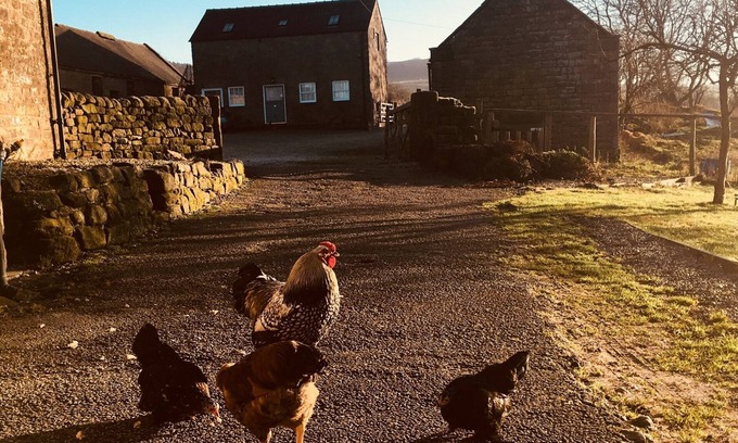 Bakewell Cama Y Desayuno | Gratton Grange Farm B&B