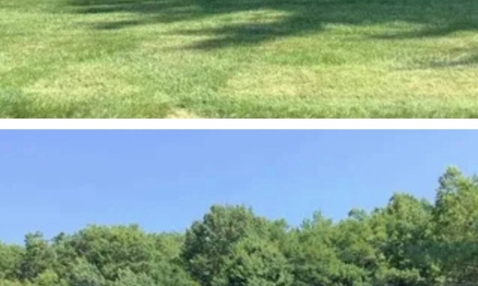 Woodbridge Condominio | Great location, local to New York. Everything is around here. You will love this