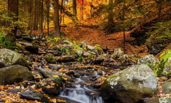 Briar Crest Woods Cabina | Great Place for Leaf-Peeping this Fall: Exclusively at the Hideout!