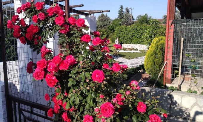 Aridaia Casa | Green house - Apartment in Aridaia-Loutra Pozar