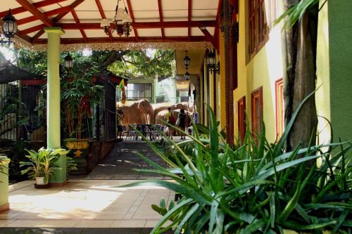 Pinnawala Casa | Green Land Guest House