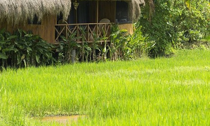 Halpatota Cabina | LODGE VERDE- CABINAS PERFECTAS