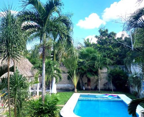 Leona Vicario Apartamento | GREEN PARADISE LEONA VICARIO