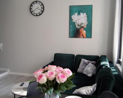 Torun Apartamento | Green Park Apartament