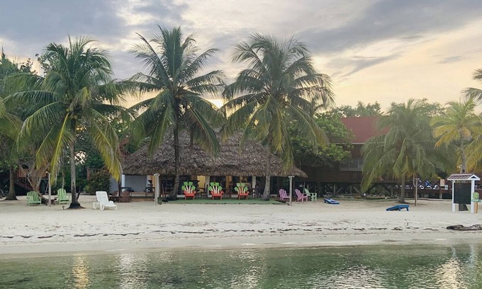 Placentia Hotel | Green Parrot Belize