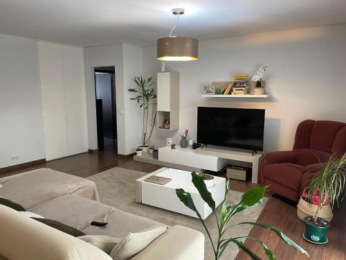 Fontainhas Apartamento | Green Pine