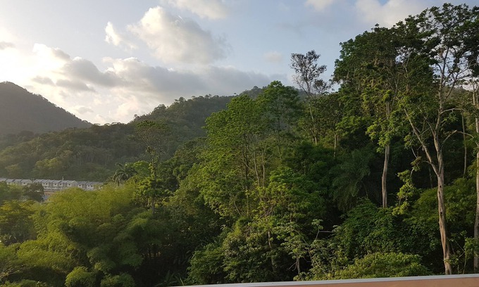 Arima Apartamento | Greene Kairi (Arima) cerca de Asa Wright Nature Center