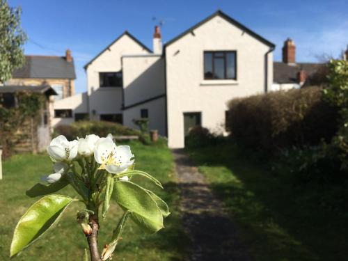 Watchet Casa | Greengates