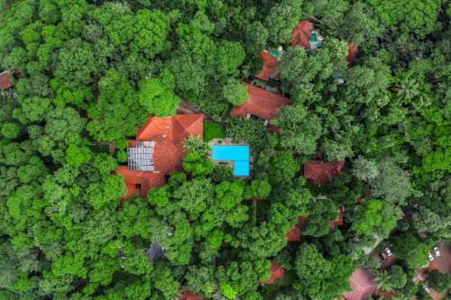 Vazhayil Complejo | Greenwoods Resort, Thekkady