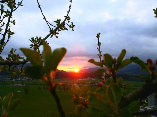 Oberndorf in Tirol Apartamento | Griesbachhof-Wilder Kaiser