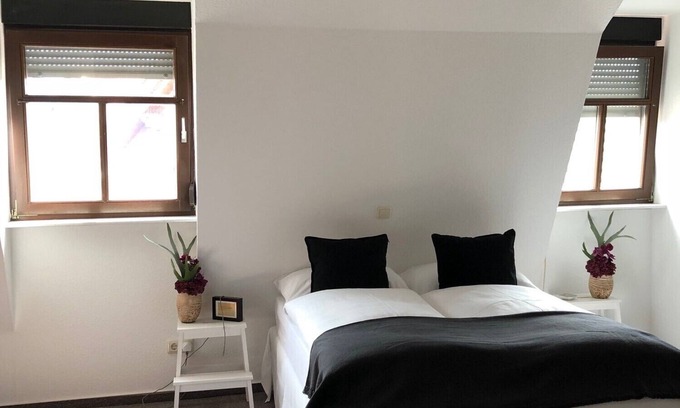 Mainz-Bingen Apartamento | Großzügige Lichtdurchflutete Ferienwohnung mit Viel "weinerleben"