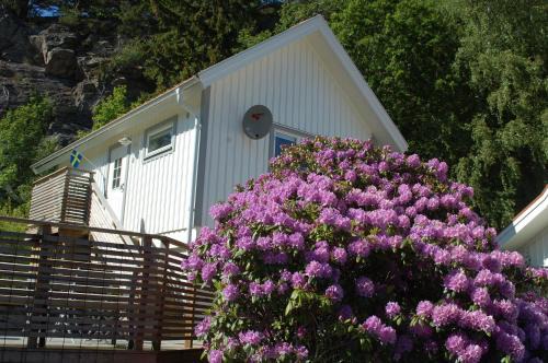 Ljungskile Casa | Grottstugan