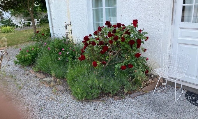 Bastad Apartamento | Ground floor apartment in charming turn of the century villa near the sea Båstad