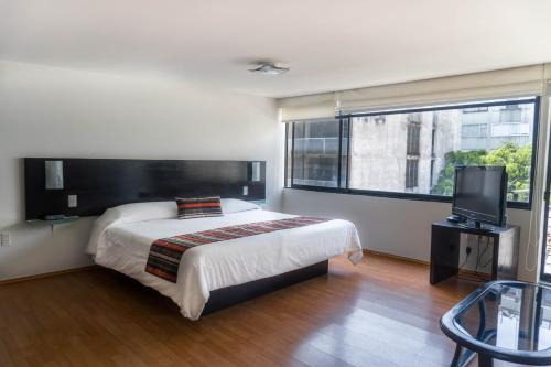 Miguel Hidalgo Apartamento | Grupo Kings Suites -Platon 436