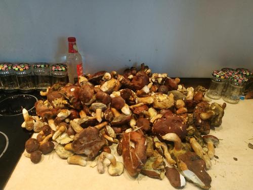 Sulejow Casa | Grzyby, ryby, ferie, Własny pomost, kajak, kominek, grill, ognisko raj nad wodą, BRZÓZKI 1