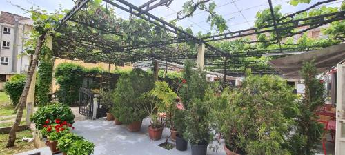 Maini Casa | Guest House Andrea