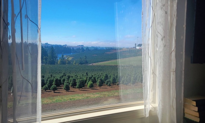 Silverton Otro | Guest House at Buena Vista Lavender Farm