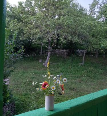 Zeda Gordi Casa | Guest House Guliada