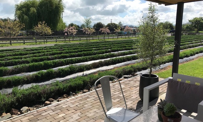 Cambridge Casa | Guest House in the Lavender Field