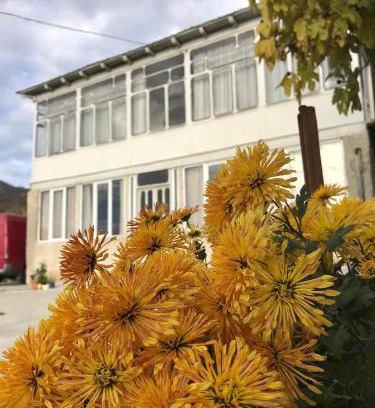 Zeda Gordi Casa | Guesthouse _ DAVITI