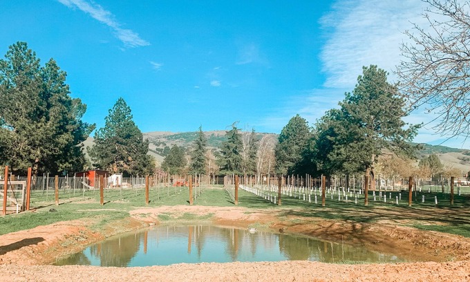 San Martin Cabina | Guesthouse Farmstay @ BarrelCreek Farm & Vineyards