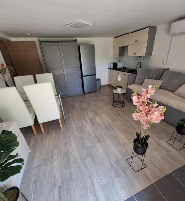 Ljubljana Apartamento | Guesthouse Flower