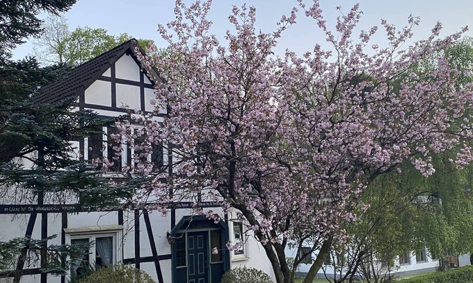 Kickenbach Casa | Gut Vasbach