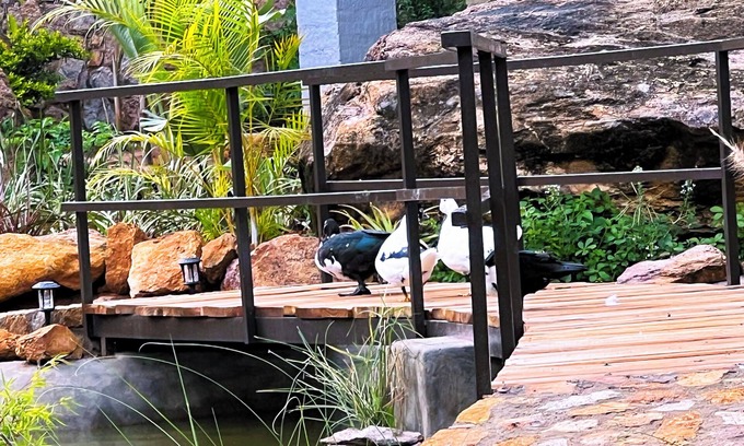 Bulawayo Cabina | Gwango Tamarillo Estate