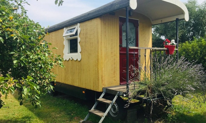 Municipality of Bergen op Zoom Casa | Caravana Gitana en Weideblick con Animales