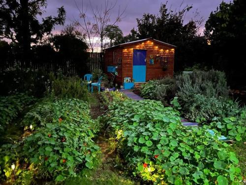 Greyton Apartamento | Gypsy Mama in Greyton